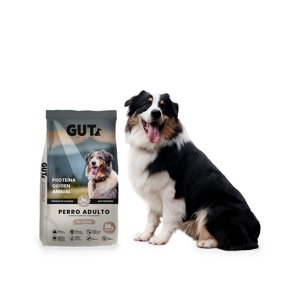 Alimento GUT Perro Adulto 20 Kg
