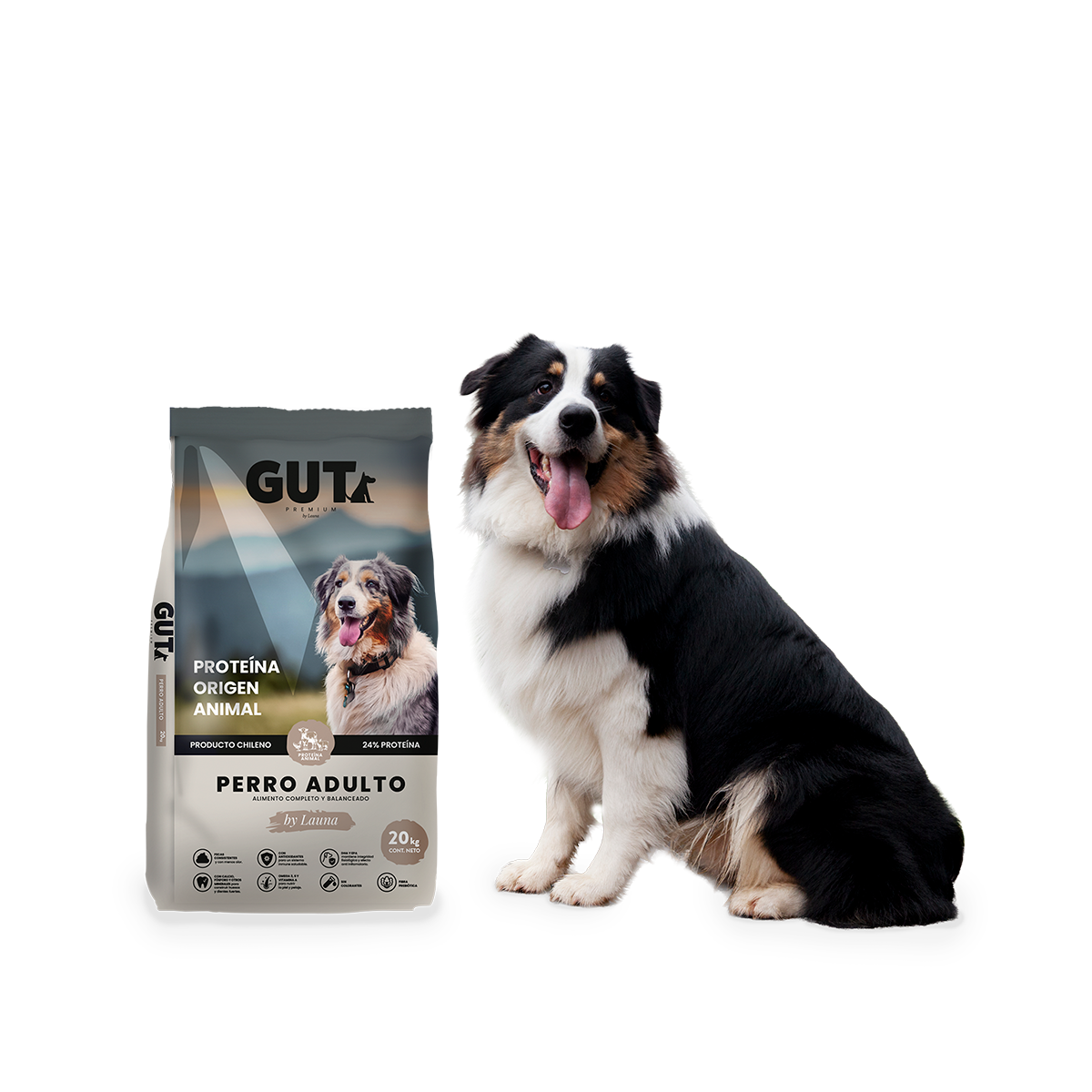 Alimento GUT Perro Adulto 20 Kg